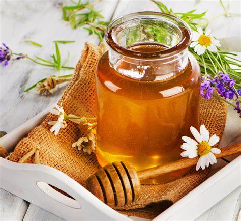 Honey Extraction and Bottling