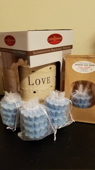 Cool Water Wax Tart Melts